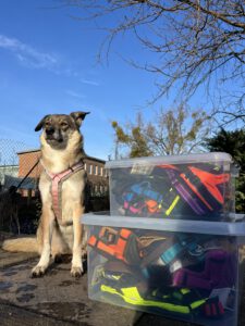 Foto-02.12.25-11-16-13