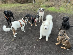 Foto 03.12.25, 07 54 54