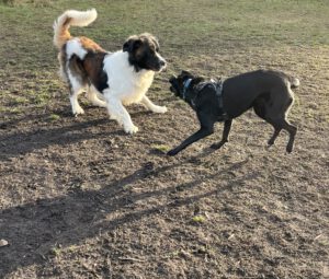 Foto 18.12.25, 10 55 25