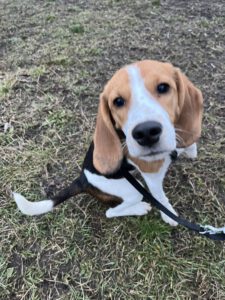 Foto 22.12.25, 15 39 37