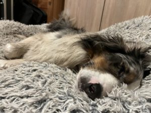 Foto 31.12.25, 17 27 41